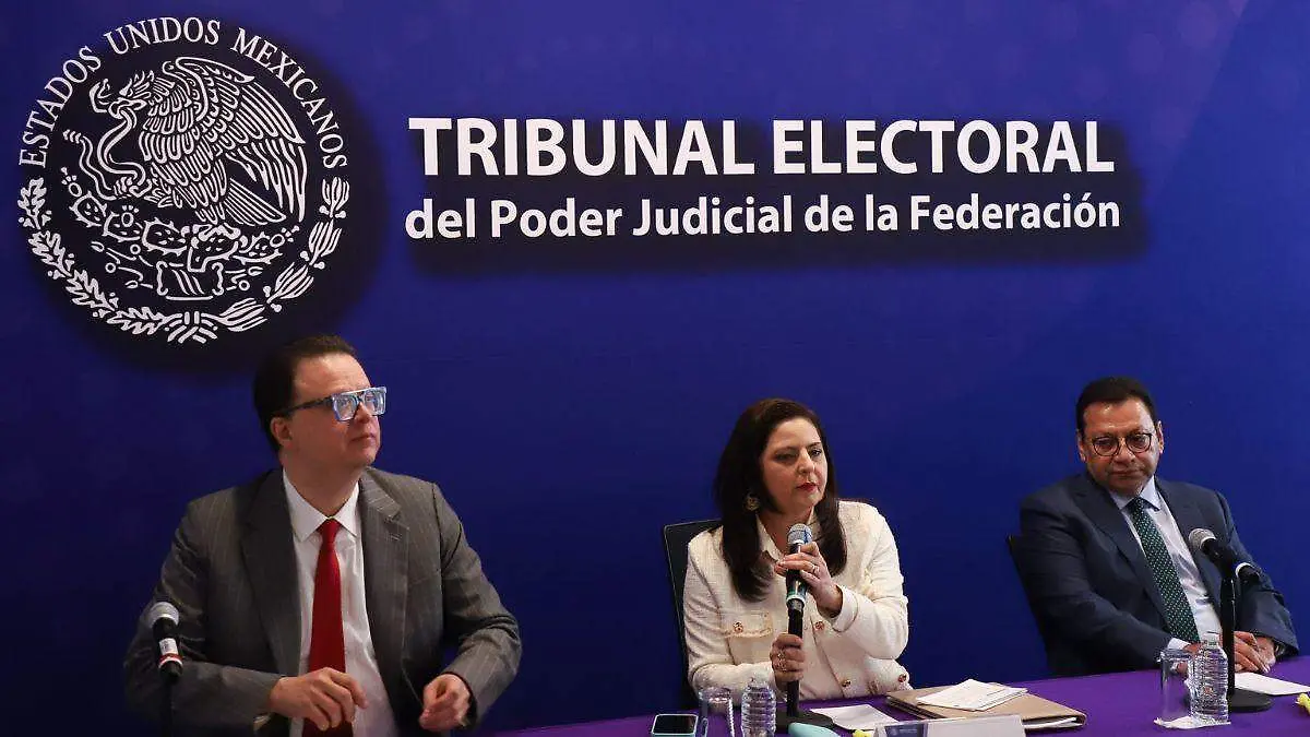 TEPJF define motivos para retirar registro en elección judicial